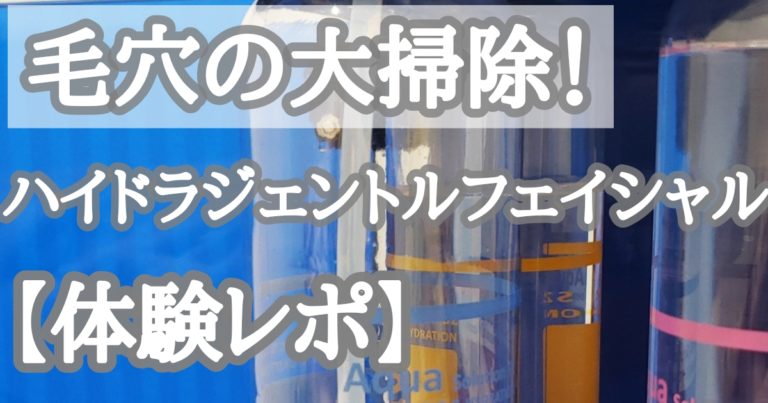 毛穴の大掃除！ハイドラジェントルフェイシャルを体験してきたのでブログに書きました。